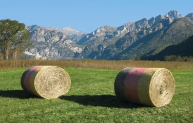 Президентский люкс